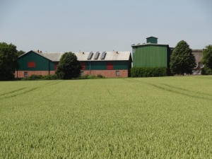Bild: Feld mit Bauernhof